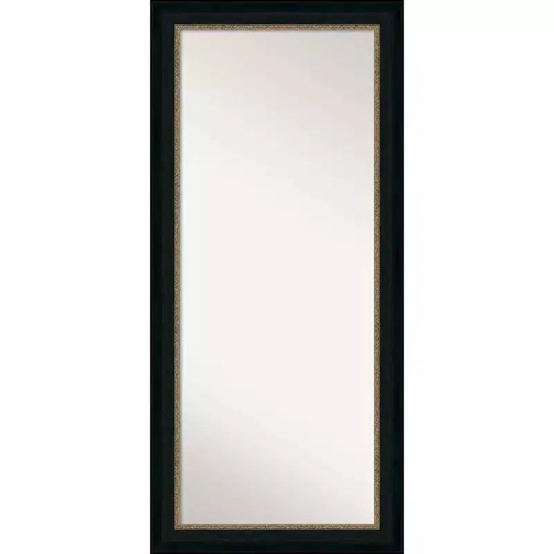 31" x 67" Non-Beveled Paragon Bronze Full Length Floor Leaner Mirror - Amanti Art: Modern Rectangle, Polystyrene Frame