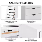 5-Drawer Office File Storage Cabinet, Smart Storage with Adjustable Dividers, Lockable Casters & Smooth Slides