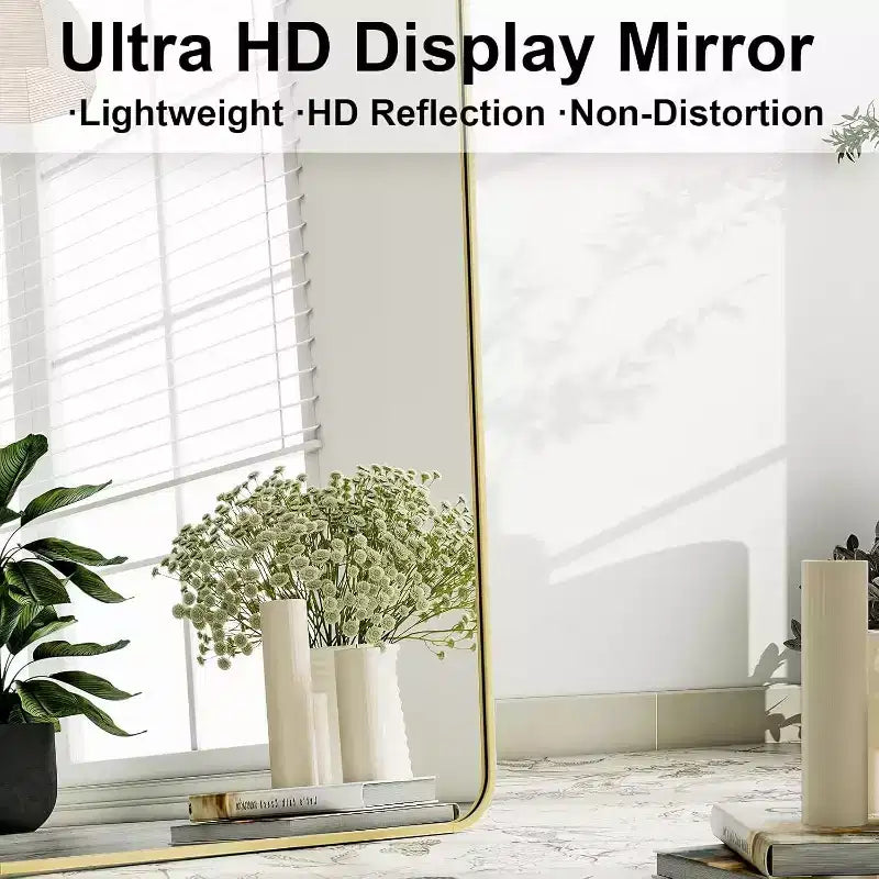 Aluminum Alloy Frame Rectangle Full Length Mirrors 64x21,Black