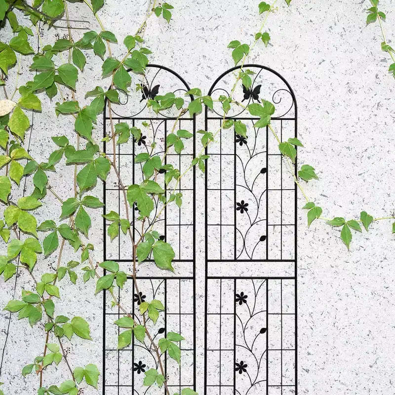 MAYEERTY Lot de 2 treillis de jardin en métal 220x50cm - Antirouille, noir, pour plantes grimpantes et fleurs d'extérieur