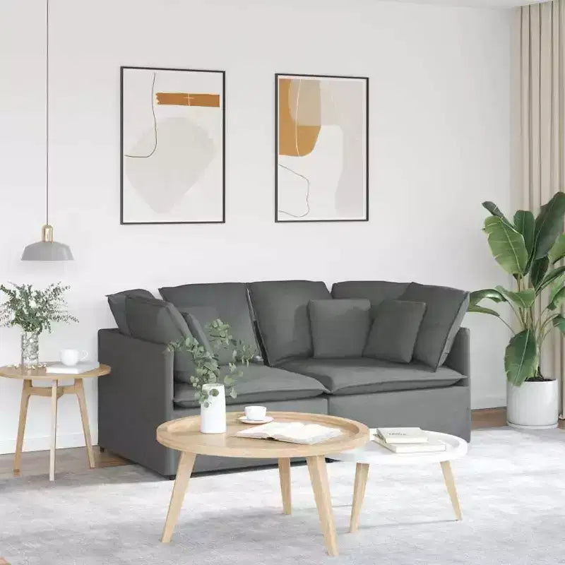 vidaXL Canapé modulable avec coussins - Velours gris foncé, 200x100 cm, Cadre en métal durable pour Salon/Chambre