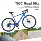 Whisen 28 Road Bike, Adult Outdoor Bicycle with 7 Speed ,Aluminum Alloy Frame for Men Women