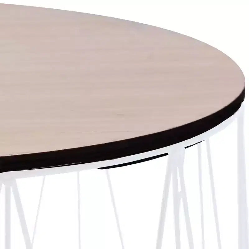vidaXL Coffee Table 2 pcs Round End Table Sofa Table Living Room Furniture