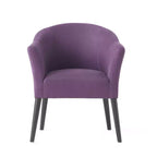 MAYEERTY Upholstered Accent Arm Chair, Comfortable Seating, Living Room Bedroom, Multi-Use