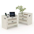 Rattan Nightstand Set of 2, Bedside Table, Modern Night Stand 2 Drawer Storage Space, Suitable for Bedroom, Office, or Living Room