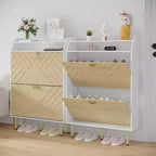 Narrow Shoe Cabinet with 2 Drawers, Slim Freestanding Shoe Storage Cabinet for Entryway, Hidden Shoe Organizer Rack with Top Shelf