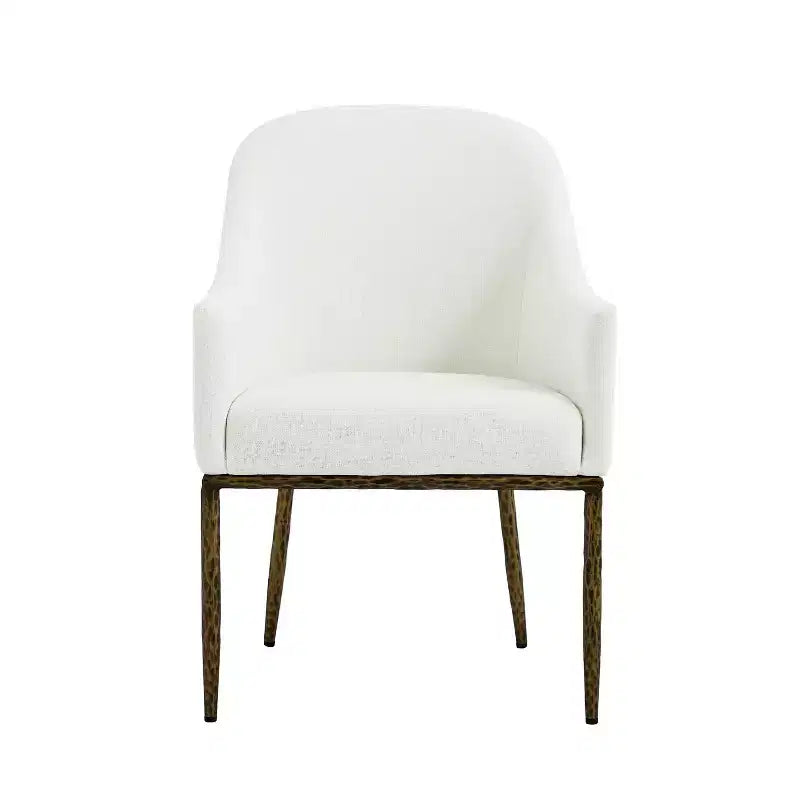Christopher Knight Home Narong Chaises de salle à manger modernes en fer rembourrées avec pieds en métal étain forgé (lot de 2)