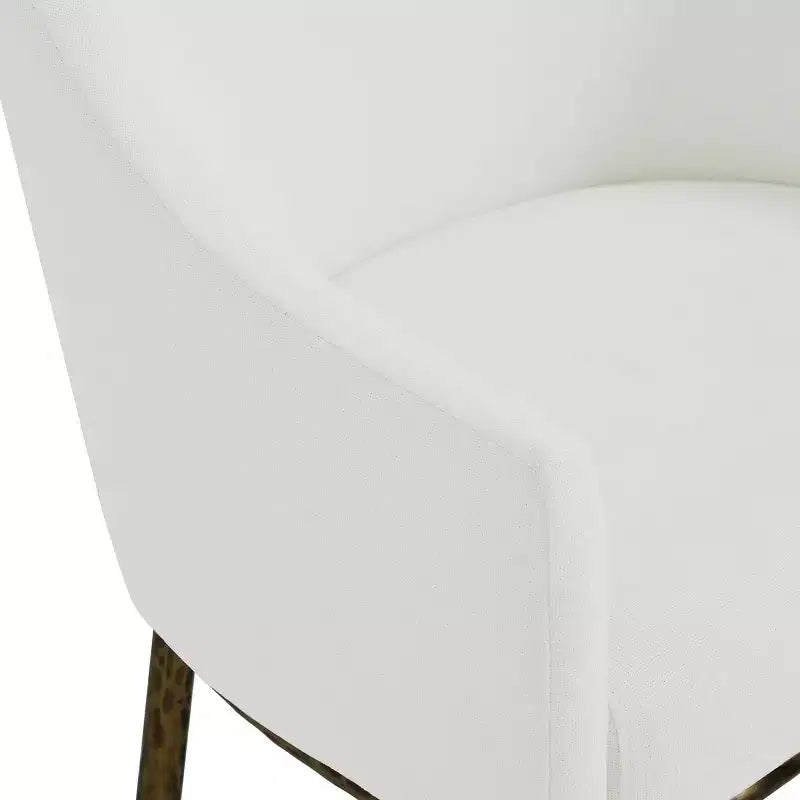 Christopher Knight Home Narong Chaises de salle à manger modernes en fer rembourrées avec pieds en métal étain forgé (lot de 2)