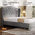 Dyonery Queen Bed Frame, Velvet Upholstered Platform Bed with 2 Storage Drawers, 52.6 Tall Wingback & Vertical Tufted Headboard Design