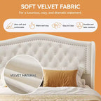 Dyonery Queen Bed Frame, Velvet Upholstered Platform Bed with 2 Storage Drawers, 52.6 Tall Wingback & Vertical Tufted Headboard Design