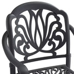 Lot de 2 chaises de salle à manger d'extérieur en fonte d'aluminium, cadre noir résistant à la rouille avec coussins résistants à l'eau