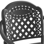 Lot de 4 chaises de salle à manger d'extérieur en fonte d'aluminium, cadre noir résistant à la rouille avec coussins résistants à l'eau