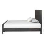 Furniture of America Fable Modern Solid Wood Panel Bed