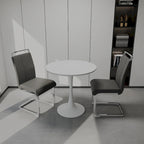 Modern 3-Piece Dining Set with Round Table & 2 High Back C-shaped Tube Chairs
