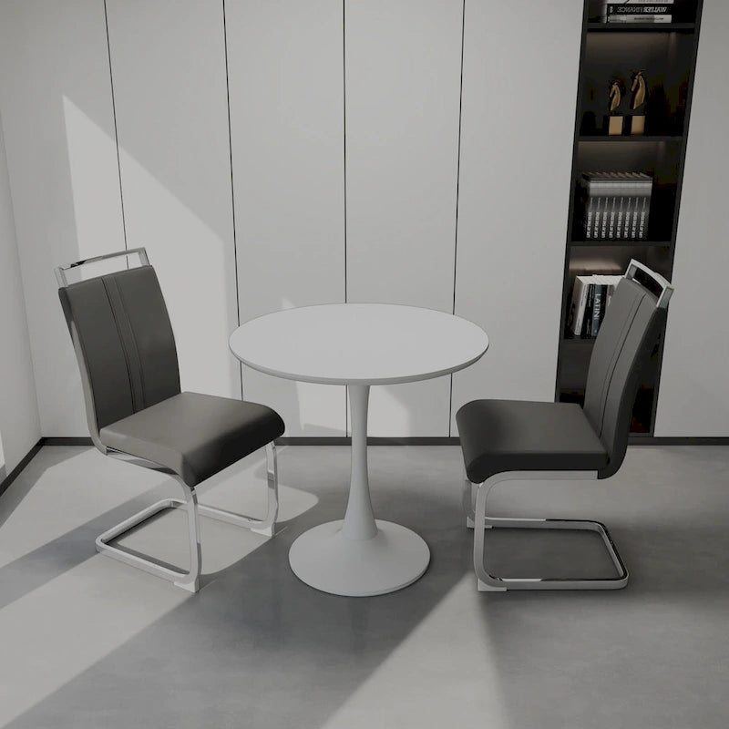 Modern 3-Piece Dining Set with Round Table & 2 High Back C-shaped Tube Chairs