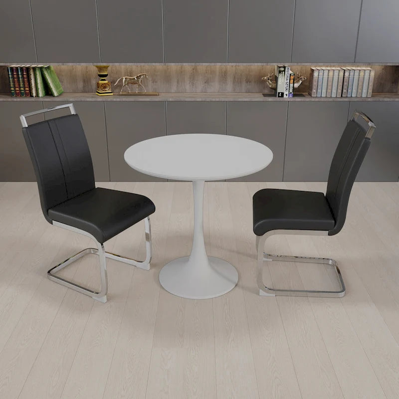 Modern 3-Piece Dining Set with Round Table & 2 High Back C-shaped Tube Chairs