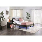 Cadre de lit lombaire réglable Harmony Twin XL de Furniture of America : Garantie de 1 an, hauteur de 14 pouces, cadre en acier, revêtement en polyester