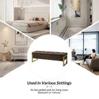 Banc de rangement Octavio 55.3 avec dessus à charnière rembourré moderne et pieds en métal|ART OF LIVING DESIGNS