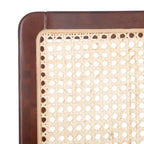 Benicio Rattan Dining Chair (Set of 2) - DCH1005 - Safavieh
