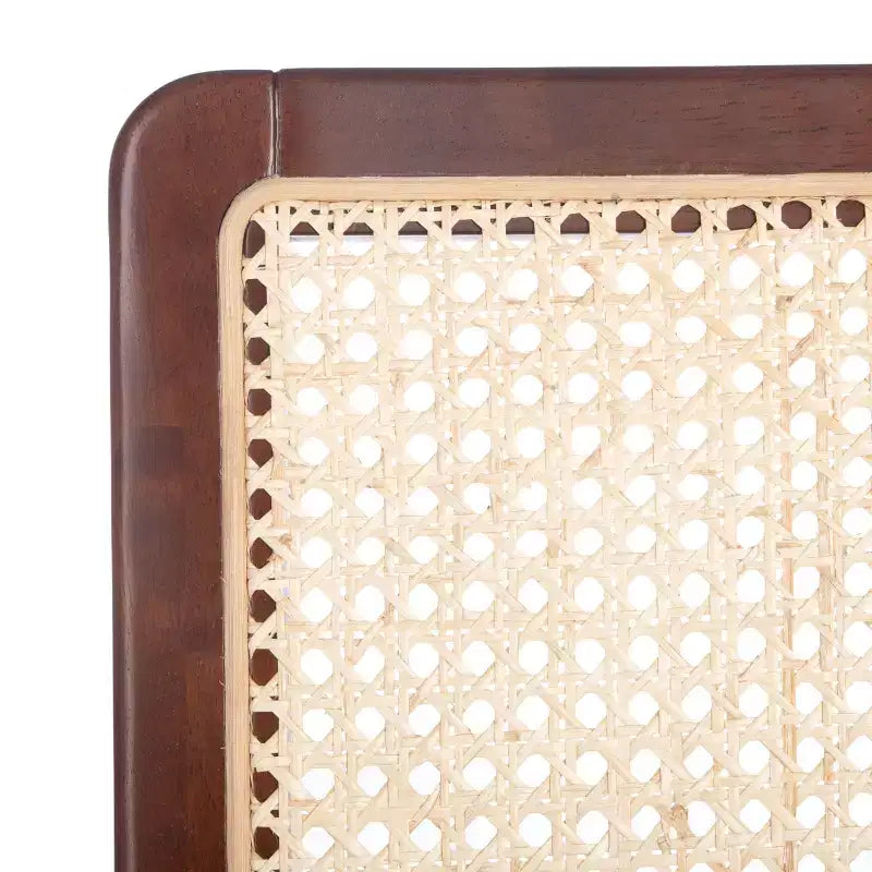 Benicio Rattan Dining Chair (Set of 2) - DCH1005 - Safavieh