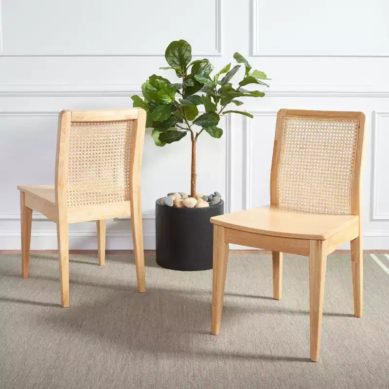 Benicio Rattan Dining Chair (Set of 2) - DCH1005 - Safavieh