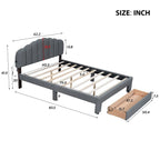 Teddy Fleece Queen Size Upholstered Platform Bed with Drawer