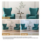 2 Set Velvet Accent Chair Upholstered Living Room Arm Chair
