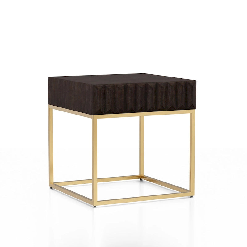 Bird Contemporary Steel 1-Drawer Accent Table by Furniture of America