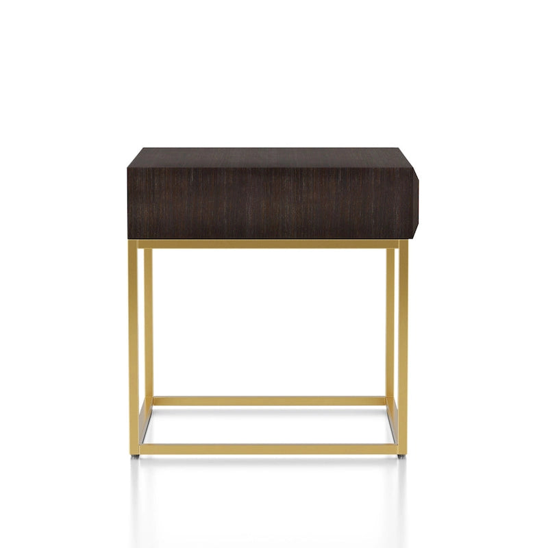 Bird Contemporary Steel 1-Drawer Accent Table by Furniture of America