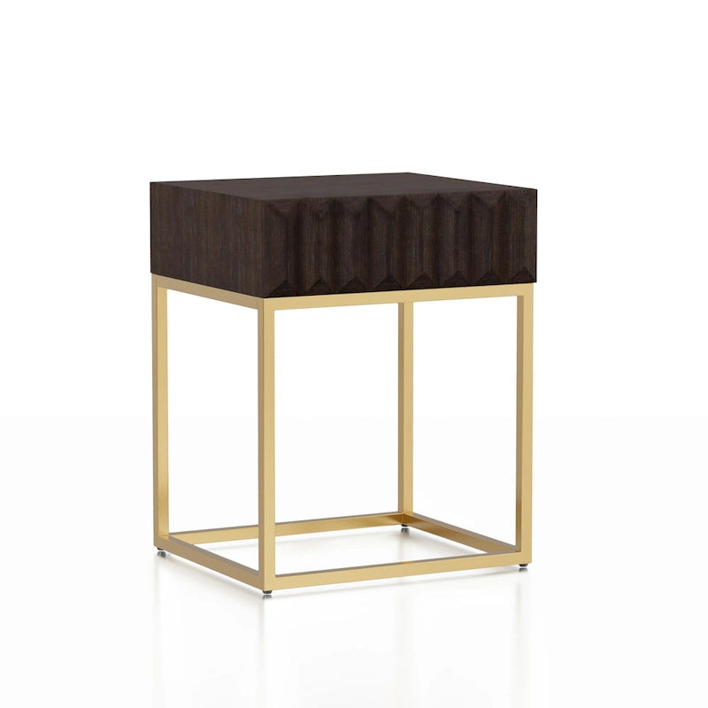 Bird Contemporary Steel 1-Drawer Accent Table by Furniture of America