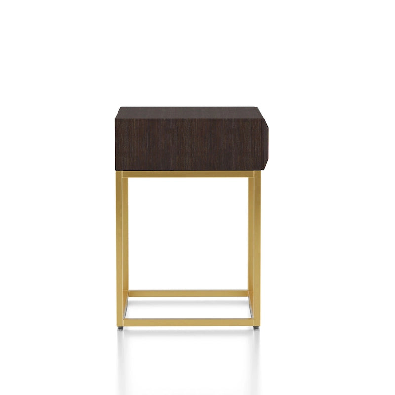 Bird Contemporary Steel 1-Drawer Accent Table by Furniture of America
