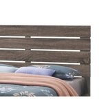 Geary 2-drawer Platform Storage Bed