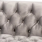 Glam Velvet and Gold Finished 2-Piece Sofa and Lounge Chair Set