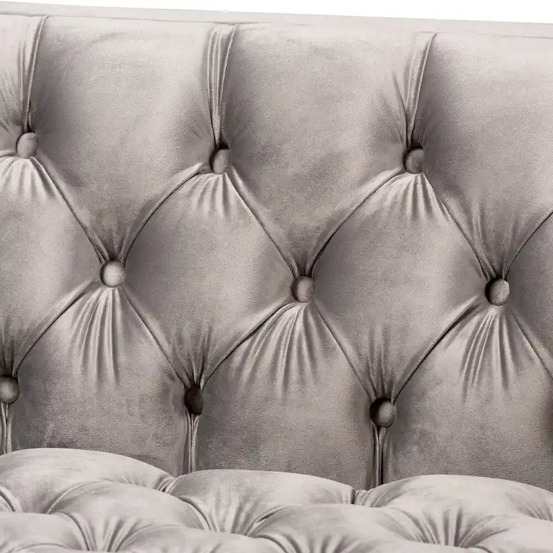 Glam Velvet and Gold Finished 2-Piece Sofa and Lounge Chair Set