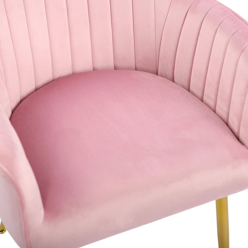 Chaises de salle à manger d'appoint en velours avec pieds en métal doré - Lot de 2
