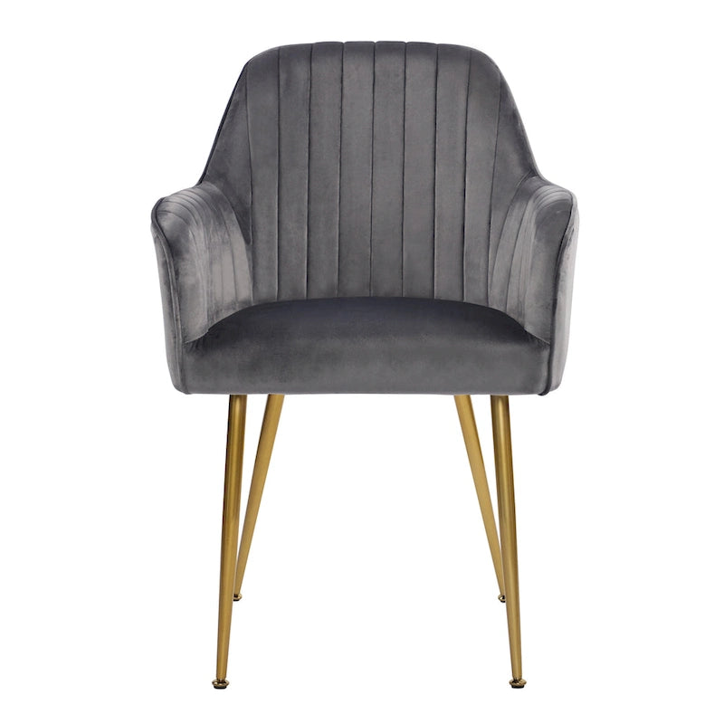 Chaises de salle à manger d'appoint en velours avec pieds en métal doré - Lot de 2