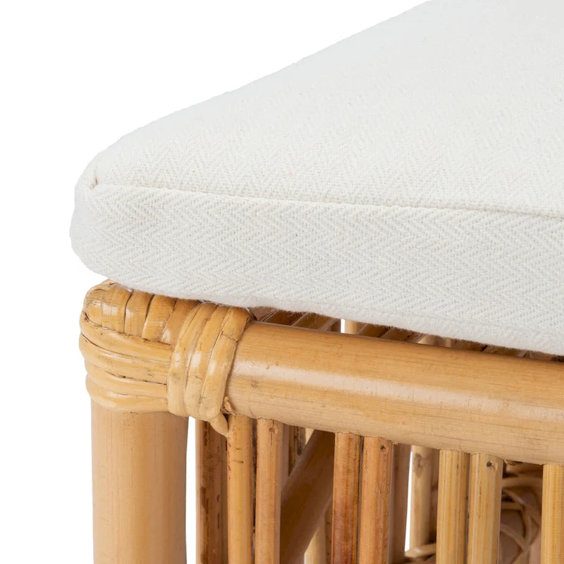 SAFAVIEH Patty, fauteuil d'appoint en rotin avec coussin (lot de 2) - 19,7 L x 22,1 P x 35,4 H - 20Wx22Dx35H
