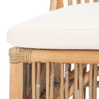 SAFAVIEH Patty, fauteuil d'appoint en rotin avec coussin (lot de 2) - 19,7 L x 22,1 P x 35,4 H - 20Wx22Dx35H