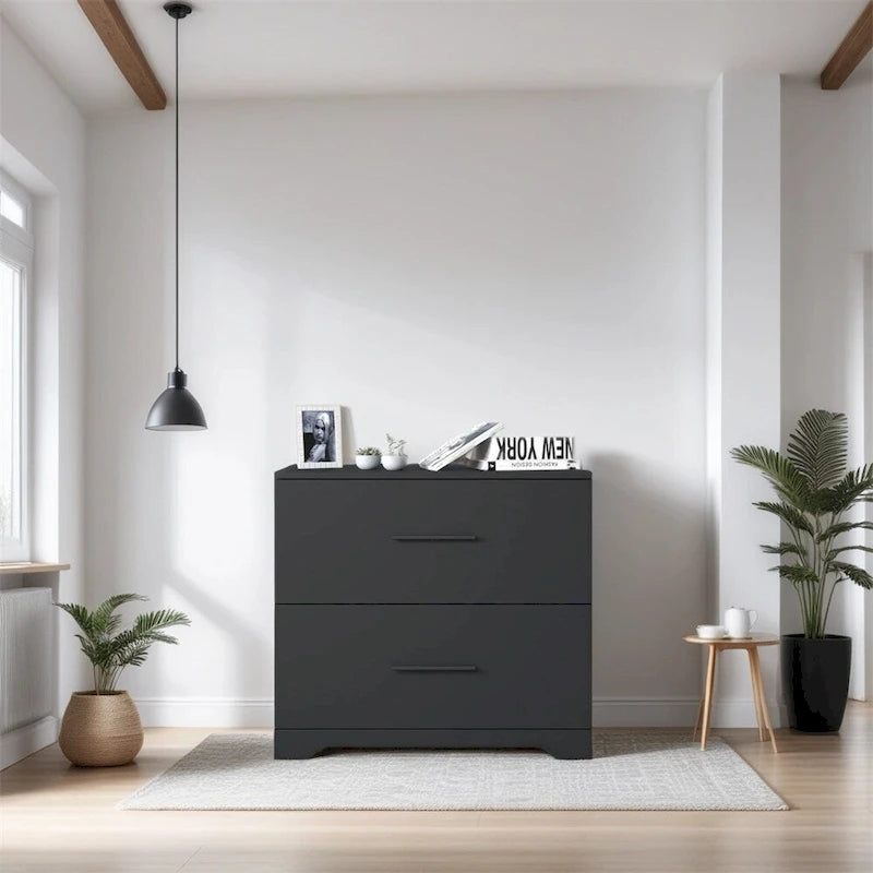 2-Drawer Storage Filing Cabinet