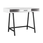 Bush Furniture Steele 40W Writing Computer Desk with Storage